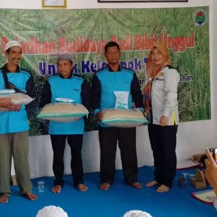 Pelatihan Budidaya  Padi Inpari 43 Agritan GSR